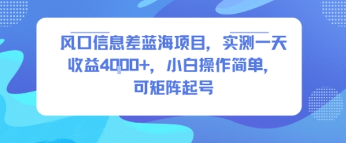 风口信息差蓝海项目，实测一天收益4k+，小白操作简单，可矩阵起号 - 搞薯条网-搞薯条网