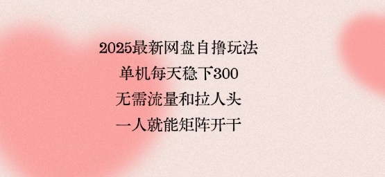 2025最新网盘自撸玩法，单机每天稳下3张，无需流量和拉人头，一个人就可轻松矩阵，全网独一份【揭秘】 - 搞薯条网-搞薯条网