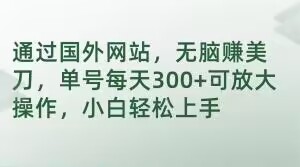 通过国外网站，无脑赚美刀，单号每天300+可放大操作，小白轻松上手【揭秘】 - 搞薯条网-搞薯条网