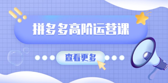 拼多多高阶运营课：极致群爆款玩法，轻付费无尽复制，打造单品爆款之路 - 搞薯条网-搞薯条网