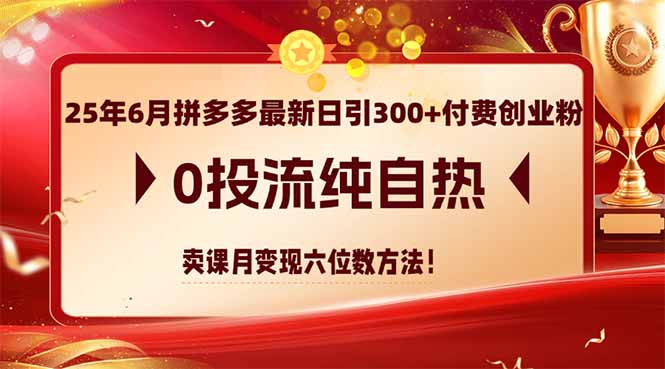 25年6月拼多多最新日引300+付费创业粉，0投流纯自热 卖课月变现六位数方法 - 搞薯条网-搞薯条网
