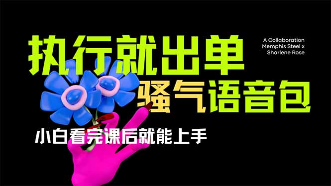 爆火全网的开车导航骚气语音包,只要执行就出单，小白看完课程就能实操… - 搞薯条网-搞薯条网