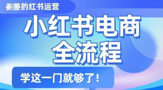小红书电商全流程，精简易懂，从入门到精通，学这一门就够了 - 搞薯条网-搞薯条网