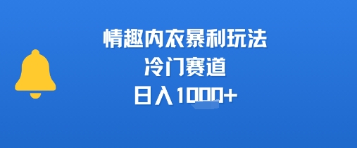 情趣内衣暴利玩法，冷门赛道，日入1k+ - 搞薯条网-搞薯条网