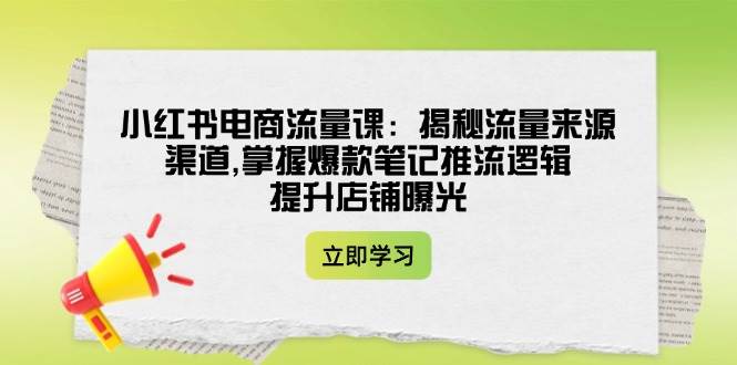 小红书电商流量课：揭秘流量来源渠道,掌握爆款笔记推流逻辑,提升店铺曝光 - 搞薯条网-搞薯条网