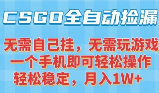 CSGO自动捡漏项目，最新独家玩法，一个手机可操作，新手小白轻松月入1W+，操作简单易上手【揭秘】 - 搞薯条网-搞薯条网