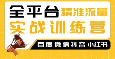 全平台精准流量实战训练营，百度微信抖音小红书SEO引流教程 - 搞薯条网-搞薯条网