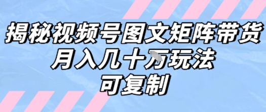 解密视频号图文矩阵带货，月入几个W的打法，可复制 - 搞薯条网-搞薯条网
