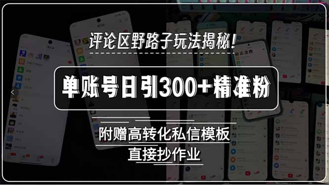 评论区野路子玩法揭秘！单账号日引300+精准粉，附赠高转化私信模板，直… - 搞薯条网-搞薯条网
