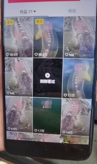 外面卖399的国学佛像原创暴力起号技术，快速起号，7天可达到一个万粉号 - 搞薯条网-搞薯条网