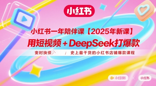 小红书一年陪伴课【2025年新课】，用短视频+deepSeek打爆款，史上最干货的小红书店铺爆款课程 - 搞薯条网-搞薯条网