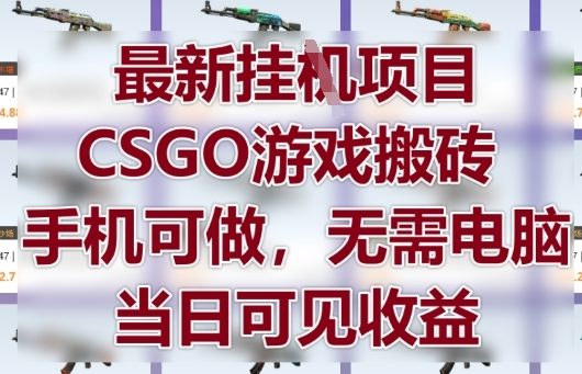 最新挂G项目，CSGO游戏搬砖，手机可做，无需电脑，当日见收益【揭秘】 - 搞薯条网-搞薯条网