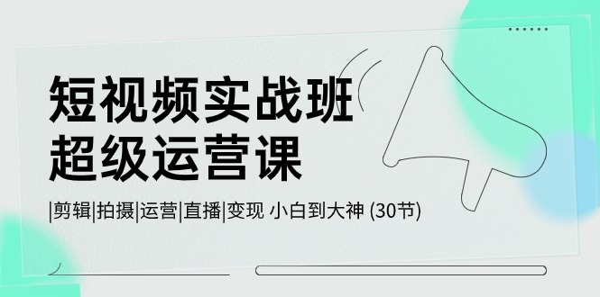 短视频实战班超级运营课 |剪辑|拍摄|运营|直播|变现 小白到大神 (30节) - 搞薯条网-搞薯条网