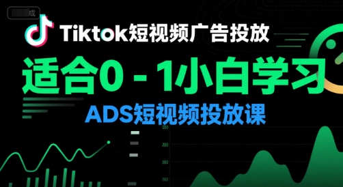 Tiktok短视频广告投放，适合0-1小白学习ADS短视频投放课 - 搞薯条网-搞薯条网