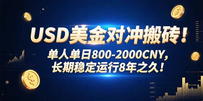 USD美金对冲搬砖!单人单日800-2000CNY，长期稳定运行8年之久! - 搞薯条网-搞薯条网