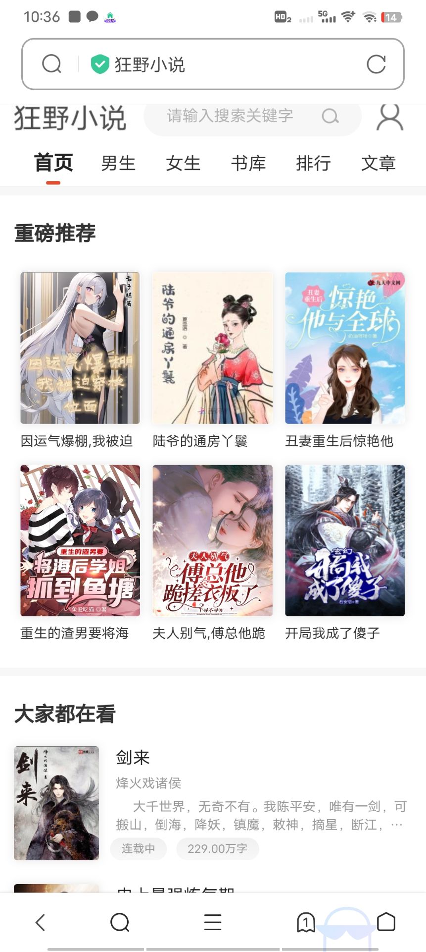 小说网站源码带管理后台手机端和采集 - 搞薯条网-搞薯条网