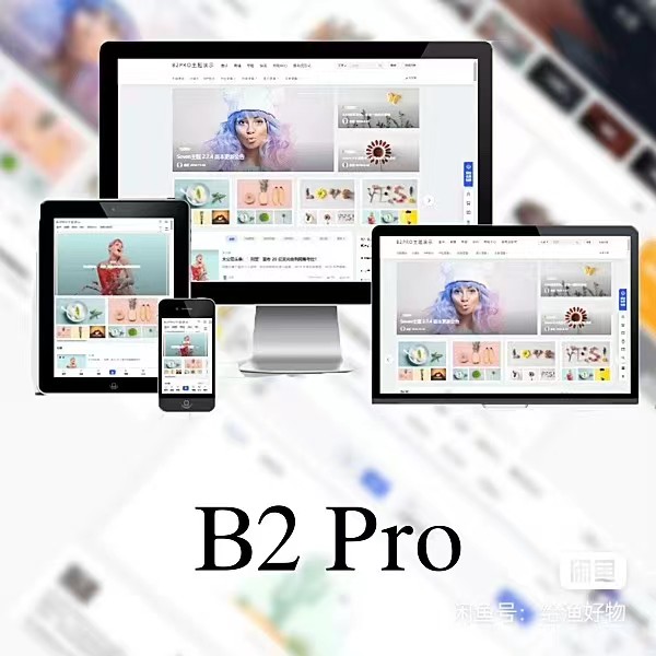 WordPress B2 Pro 主题5.2.0最新开心版,附带官方包体与授权文件 - 搞薯条网-搞薯条网